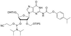 STA PHARMACEUTICAL US LLC&nbsp;2'-TOM G(iPr-pac) amidite | 25 g | InChIKey MCJWYJDVECOECQ-VPEMNPORSA-N | MW 1148.423761998