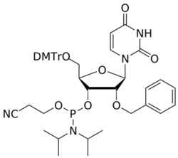 STA PHARMACEUTICAL US LLC&nbsp;2'-O-benzyl U amidite | 5 g | CAS 1314972-05-8 | InChIKey TYFNZORRVWANFD-YDFRAEGJSA-N