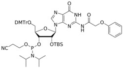 STA PHARMACEUTICAL US LLC&nbsp;2'-OTBS G(pac) amidite | 5 g | CAS 121058-87-5 | InChIKey ZLYPAAZEPOYAIC-SNJLMQCASA-N