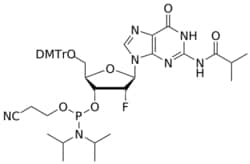 STA PHARMACEUTICAL US LLC&nbsp;2'-F G(iBu) amidite | 2 g | CAS 144089-97-4 | MDL MFCD12912415