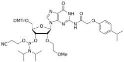 STA PHARMACEUTICAL US LLC&nbsp;2'-MOE G(iPr-pac) amidite | 1 g | InChIKey HCOJSGDKIGGZGC-LZDPKHDJSA-N | MW 1020.133761998
