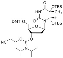 STA PHARMACEUTICAL US LLC DNA 5-Me-5,6-diOTBS-T amidite | 1 g | CAS 318497-58-4
