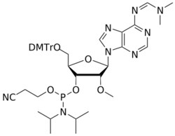 STA PHARMACEUTICAL US LLC&nbsp;2'-OMe A(dmf) amidite | 5 g | InChIKey BKDZYCQEULBZAC-DLNCRKPYSA-N | MW 838.946761998