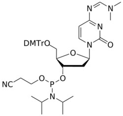STA PHARMACEUTICAL US LLC&nbsp;DNA C(dmf) amidite | 1 g | InChIKey VVYWEKWASQGASN-MJIXNZOTSA-N | MW 784.894761998