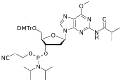 STA PHARMACEUTICAL US LLC&nbsp;DNA O6-Me-G(iBu) amidite | 5 g | InChIKey SCQFOYDGPBRWDL-AYWNMRARSA-N | MW 853.957761998