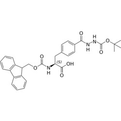 STA PHARMACEUTICAL US LLC&nbsp;Fmoc-L-Phe(4-CONHNHBoc)-OH | 25 g | InChIKey ZMUZYKQJZNFHHQ-VWLOTQADSA-N | MW 545.592