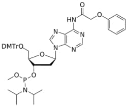 STA PHARMACEUTICAL US LLC&nbsp;DNA A(Pac) OMe-amidite | 1 g | InChIKey DINQAQYQTWVISN-YODNCCLZSA-N | MW 848.937761998