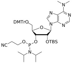STA PHARMACEUTICAL US LLC&nbsp;2'-OTBS A(di-Me) amidite | 1 g | InChIKey FOBJTSYXSOCKFB-OKNPHDNFSA-N | MW 912.156761998