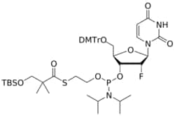 STA PHARMACEUTICAL US LLC&nbsp;2'-F U (TBSO)SATE-amidite | 5 g | InChIKey JADSOFLFIWRFSE-JISWKONASA-N | MW 970.219165161