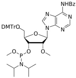 STA PHARMACEUTICAL US LLC&nbsp;2'-OMe A(Bz) OMe-amidite | 25 g | CAS 110782-30-4 | InChIKey LZPPZAAMMANQFD-HLVGMPGCSA-N