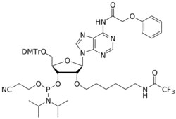 STA PHARMACEUTICAL US LLC&nbsp;2'-TFA-AH A(pac) amidite | 1 g | CAS 912641-93-1 | InChIKey VBJTYAMWLQWVHW-CBDDLFPSSA-N