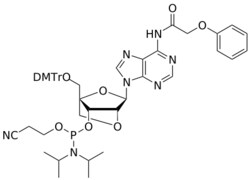 STA PHARMACEUTICAL US LLC&nbsp;LNA A(pac) amidite | 200 mg | InChIKey RHUYJRYFCPQBIE-LXTWGDFWSA-N | MW 915.984761998