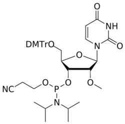 STA PHARMACEUTICAL US LLC&nbsp;2'-OMe U amidite | 2 g | CAS 110764-79-9 | MDL MFCD00792626