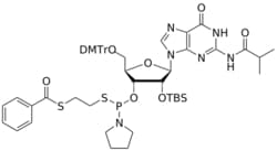 STA PHARMACEUTICAL US LLC&nbsp;2'-OTBS G(iBu) ThioPhosphamidite | 1 g | InChIKey HXMLZPZNEIUXMQ-UFCBNZGASA-N | MW 1067.341761998