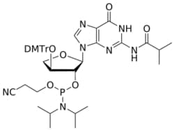 STA PHARMACEUTICAL US LLC&nbsp;TNA G(iBu) amidite | 1 g | InChIKey PPYBBXDBHDZCRP-KPJRANELSA-N | MW 825.903761998
