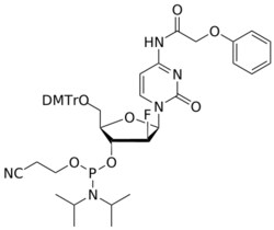 STA PHARMACEUTICAL US LLC&nbsp;ANA 2'-F C(pac) amidite | 1 g | InChIKey ARQJQDCNAYPRPA-JTKIUKKWSA-N | MW 881.939165161