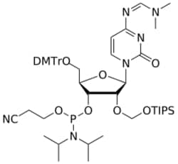 STA PHARMACEUTICAL US LLC&nbsp;2'-TOM C(dmf) amidite | 200 mg | InChIKey KMMFAZJWNRVMGC-PWDNDNMUSA-N | MW 987.263761998