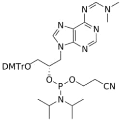 STA Pharmaceutical&nbsp;GNA A(dmf) amidite | 1 g | CAS 1159174-79-4 | InChIKey AYBFSGSRSXEWOD-FVKITPQPSA-N