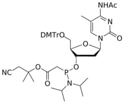 STA PHARMACEUTICAL US LLC&nbsp;DNA MeC(Ac) PACE amidite | 5 g | InChIKey COTHYUVFSUQPJU-QTWKWSIWSA-N | MW 855.969761998