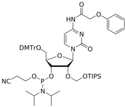 STA PHARMACEUTICAL US LLC&nbsp;2'-TOM C(pac) amidite | 1 g | InChIKey JHWXTPPHKXVLJU-JZPLLQKCSA-N | MW 1066.317761998