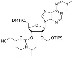 STA PHARMACEUTICAL US LLC&nbsp;2'-TOM A(dmf) amidite | 5 g | InChIKey NYQWTRAJBSZLBT-ZDQPPIPYSA-N | MW 1011.289761998
