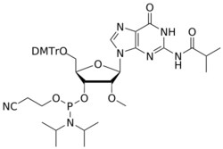 STA PHARMACEUTICAL US LLC&nbsp;2'-OMe G(iBu) amidite | 2 g | CAS 150780-67-9 | MDL MFCD00792625