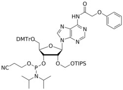 STA PHARMACEUTICAL US LLC&nbsp;2'-TOM A(pac) amidite | 5 g | InChIKey SDKCDUHXDHXTLS-MFQAJTRBSA-N | MW 1090.343761998