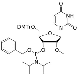STA PHARMACEUTICAL US LLC&nbsp;2'-OMe U OBn-amidite | 1 g | InChIKey UHDLXVNVLQRYDS-KVYGJNINSA-N | MW 797.885761998