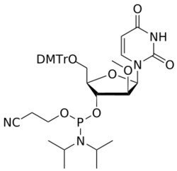 STA PHARMACEUTICAL US LLC&nbsp;ANA 2'-OMe U amidite | 5 g | CAS 1239669-77-2 | InChIKey UVUOJOLPNDCIHL-LYEFJPEKSA-N