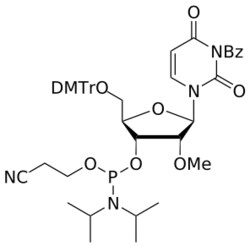 STA PHARMACEUTICAL US LLC&nbsp;2'-OMe N3-Bz-U amidite | 100 g | CAS 178422-03-2 | InChIKey RLZUETJITSYKAT-VKBHKTMGSA-N