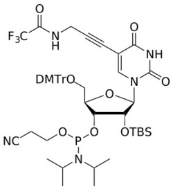 STA PHARMACEUTICAL US LLC&nbsp;2'-OTBS 5-(3''-amino(TFA)-propynyl)-U amidite | 5 g | CAS 1269413-23-1 | InChIKey WJZHTBADFQJCHH-UETLZWTDSA-N