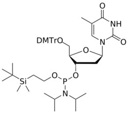 STA PHARMACEUTICAL US LLC&nbsp;DNA T OTBSE-amidite | 1 g | CAS 173440-40-9 | InChIKey OPKCOYPGFFHUTD-STPYIPAVSA-N