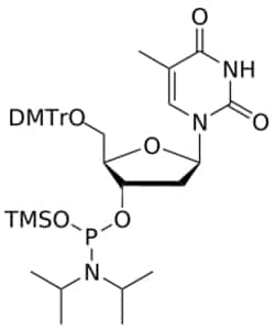 STA PHARMACEUTICAL US LLC&nbsp;DNA T OTMS-amidite | 1 g | CAS 126256-31-3 | InChIKey OZZBEVKSUAVSQL-SIHXTDFISA-N