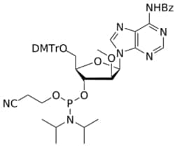 STA PHARMACEUTICAL US LLC&nbsp;ANA 2'-OMe A(Bz) amidite | 1 g | CAS 1239669-70-5 | InChIKey AZCGOTUYEPXHMJ-VOJYYREFSA-N