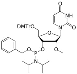 STA PHARMACEUTICAL US LLC&nbsp;2'-OMe U OBn-amidite | 1 g | InChIKey UHDLXVNVLQRYDS-KVYGJNINSA-N | MW 797.885761998