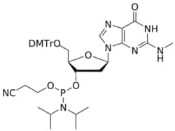 STA PHARMACEUTICAL US LLC&nbsp;DNA G(Me) amidite | 1 g | CAS 808132-80-1 | InChIKey VTJVYRYTDJTIAW-MICLYWDSSA-N