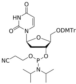 STA PHARMACEUTICAL US LLC&nbsp;L-DNA U amidite | 1 g | CAS 144385-59-1 | InChIKey ZGJUDTLSWZPIDW-QEXMQIDZSA-N