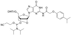 STA PHARMACEUTICAL US LLC&nbsp;LNA G(iPr-pac) amidite | 1 g | InChIKey FSLCFYFCVYNCAE-ZVOKJCSSSA-N | MW 974.064761998