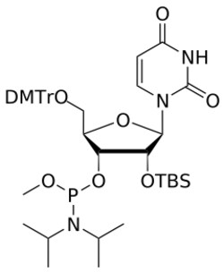 STA PHARMACEUTICAL US LLC&nbsp;2'-OTBS U OMe-amidite | 25 g | CAS 114207-67-9 | InChIKey AJKMTCZXJSDRLN-CYSIDSPMSA-N