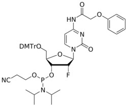 STA PHARMACEUTICAL US LLC&nbsp;2'-F C(pac) amidite | 5 g | InChIKey ARQJQDCNAYPRPA-DRPJRLOZSA-N | MW 881.939165161