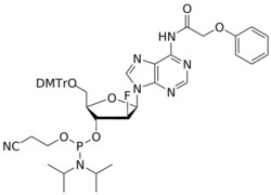 STA PHARMACEUTICAL US LLC&nbsp;ANA 2'-F A(pac) amidite | 5 g | InChIKey IPGFEHRBBLWVPH-LCPPWGPNSA-N | MW 905.965165161