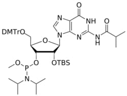 STA PHARMACEUTICAL US LLC&nbsp;2'-OTBS G(iBu) OMe-amidite | 1 g | CAS 118684-41-6 | InChIKey GQXDBSFXGQUFKG-VCGWOZLGSA-N