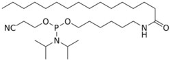STA PHARMACEUTICAL US LLC&nbsp;Palmitoyl C6 amine amidite | 5 g | CAS 1772522-18-5 | InChIKey BFUDAHSNZSPONN-UHFFFAOYSA-N