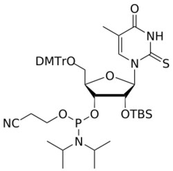 STA PHARMACEUTICAL US LLC&nbsp;2'-OTBS 2-Thio-T amidite | 200 mg | InChIKey XAFKGRGSSNKKLU-QGVFZVRESA-N | MW 891.148761998