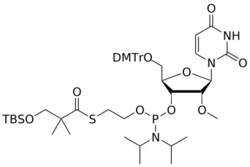 STA PHARMACEUTICAL US LLC&nbsp;2'-OMe U (TBSO)SATE-amidite | 1 g | InChIKey JPIPEHQBJWFYBS-DLBBVOJMSA-N | MW 982.254761998