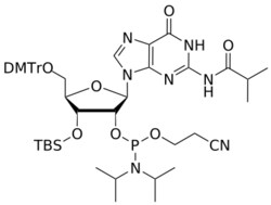 STA PHARMACEUTICAL US LLC&nbsp;3'-OTBS G(iBu) 2'-amidite | 5 g | CAS 1445905-51-0 | InChIKey JCCWPNDXSMAHGZ-FTZVBZPOSA-N