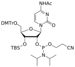 STA PHARMACEUTICAL US LLC&nbsp;3'-OTBS C(Ac) 2'-amidite | 25 g | InChIKey GNSFLPDFFNGTCR-YOEDQOPESA-N | MW 902.113761998