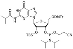 STA PHARMACEUTICAL US LLC&nbsp;L-RNA 2'-OTBS G(iBu) amidite | 5 g | CAS 679809-76-8 | InChIKey PGJKESPHANLWME-ZEXYNXKFSA-N