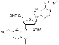 STA PHARMACEUTICAL US LLC&nbsp;2'-OTBS A(dmf) amidite | 1 g | InChIKey QROKUZUIBCONBI-XBYPBSTRSA-N | MW 939.182761998