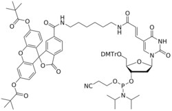 STA PHARMACEUTICAL US LLC&nbsp;5'-Fluorescein dT amidite | 5 g | InChIKey CADOGPWQRZBAGJ-WTCNENMSSA-N | MW 1425.579761998